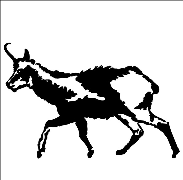chamois