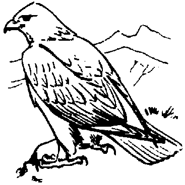 faucon